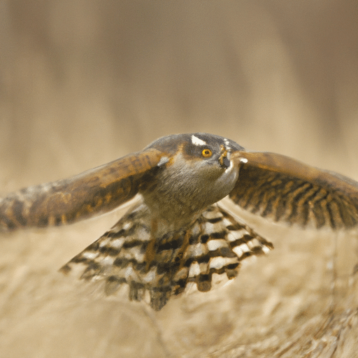 Czyszczenie z użyciem nowoczesnego odkurzacza centralnego Hawk