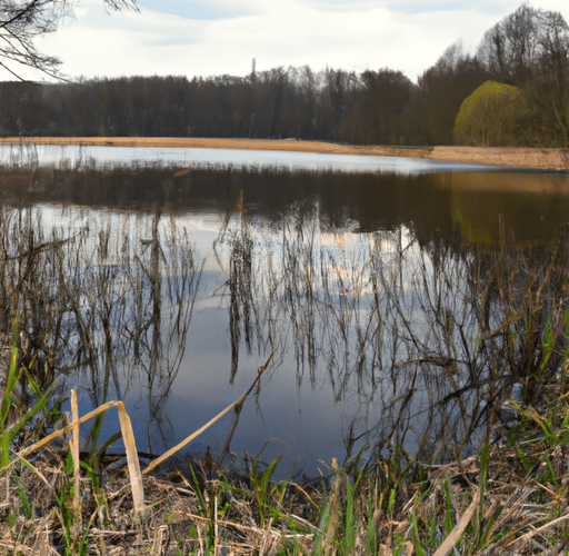 Klapy dymowe – jak przeprowadzać regularne przeglądy?