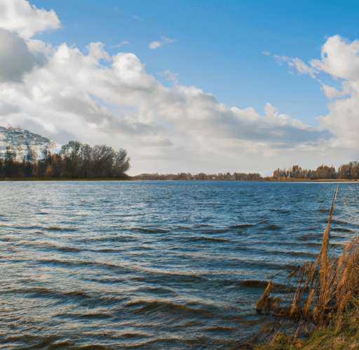 Oaza spokoju i rekreacji: Piękno i atrakcje Jeziora Pogoria IV w Kuźnicy Warężyńskiej