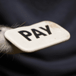 PayPal: wygodne i bezpieczne rozwiązanie dla e-commerce